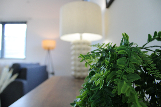 Close-up of an indoor plant with a blurred lamp and interior background.