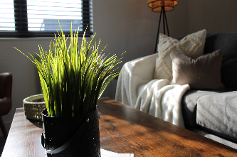 An indoor plant in a black pot on a wooden coffee table, with a couch and lamp in the background.